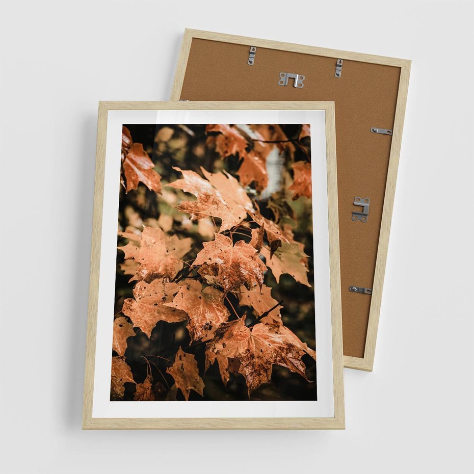 Plakat w ramie 50x70 - Ciepło Jesieni - jesienne pomarańczowe liśćie, jesień - rama drewno