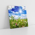 Obraz na płótnie 60x60 - Niebiańska łąka pełna kwiatów - łąka, niebo