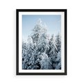 Plakat w ramie 50x70 - Magia Śnieżnych Drzew - zima, iglaste drzewa - rama czarna