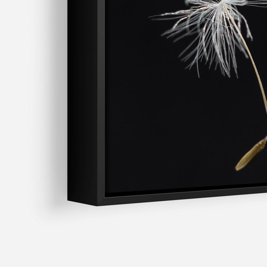 Obraz w ramie 50x50 - Delikatność Wiatru - dmuchawce, makro - rama czarna