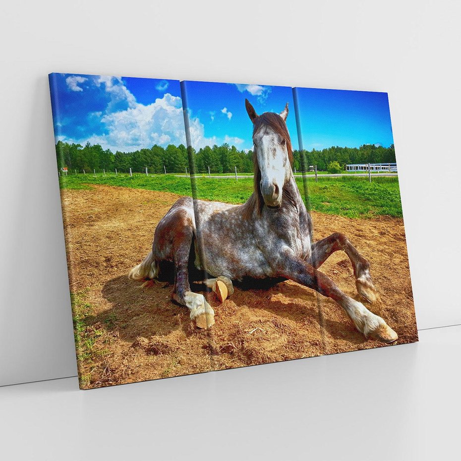 Obraz na płótnie 120x80 - Konie - siła natury - koń, konik