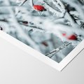 Plakat bez ramy 30x40 - Zima na Gałęziach - zima, oszronione gałęzie