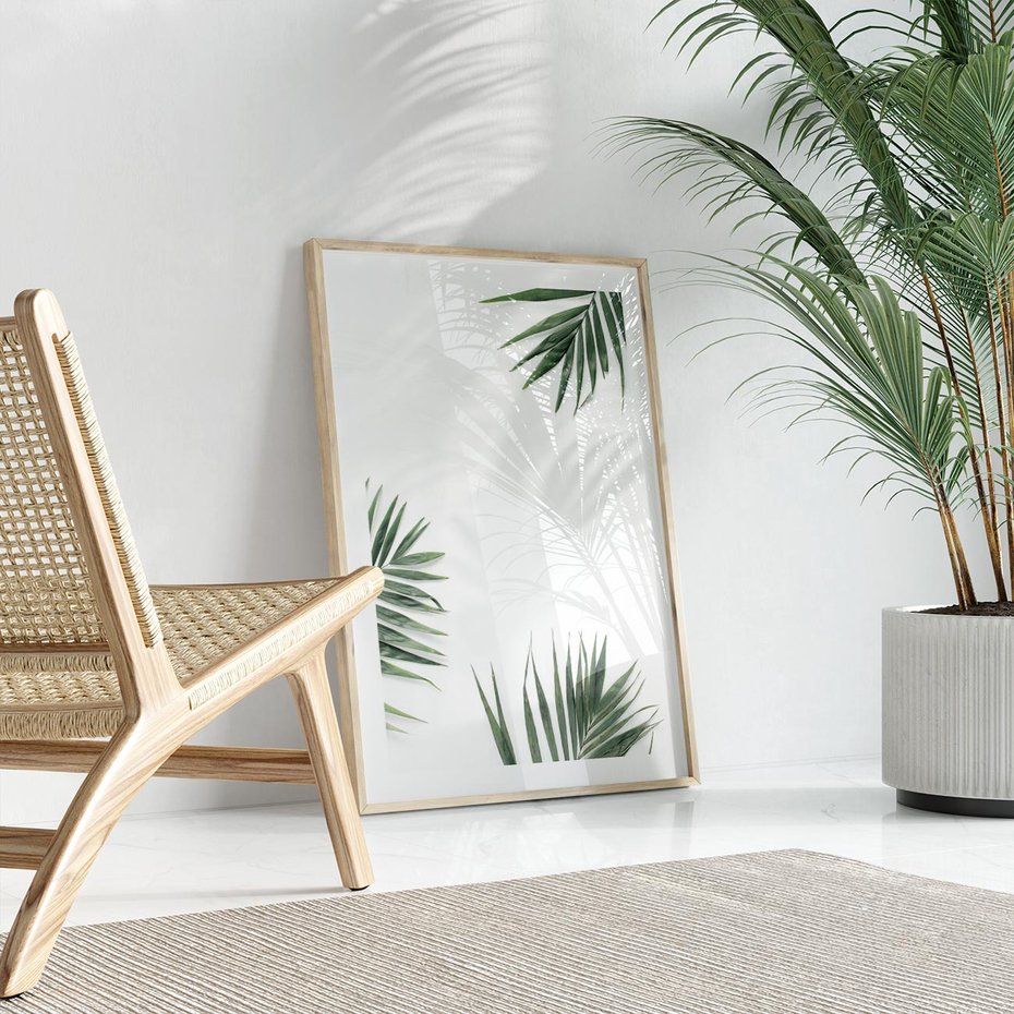 Plakat w ramie 30x40 - Liście Palmy na Czystym Tle - liście palmy, białe tło - rama drewno