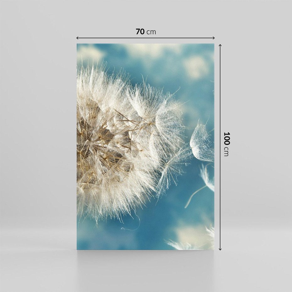 Obraz na płótnie 70x100 - Delikatność dmuchawców w pejzażu - dmuchawiec, kwiaty