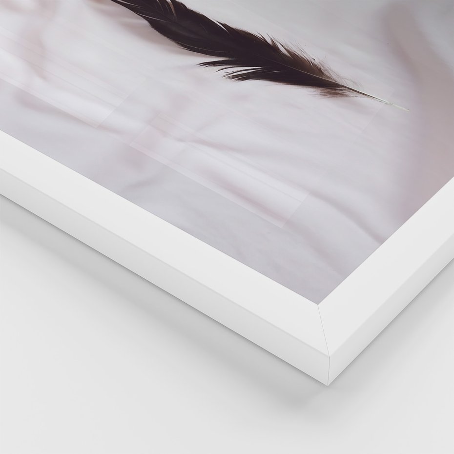 Zestaw obrazy w ramie 50x70 galeria - Cytat, motywacyjny, pióra, boho - rama biała