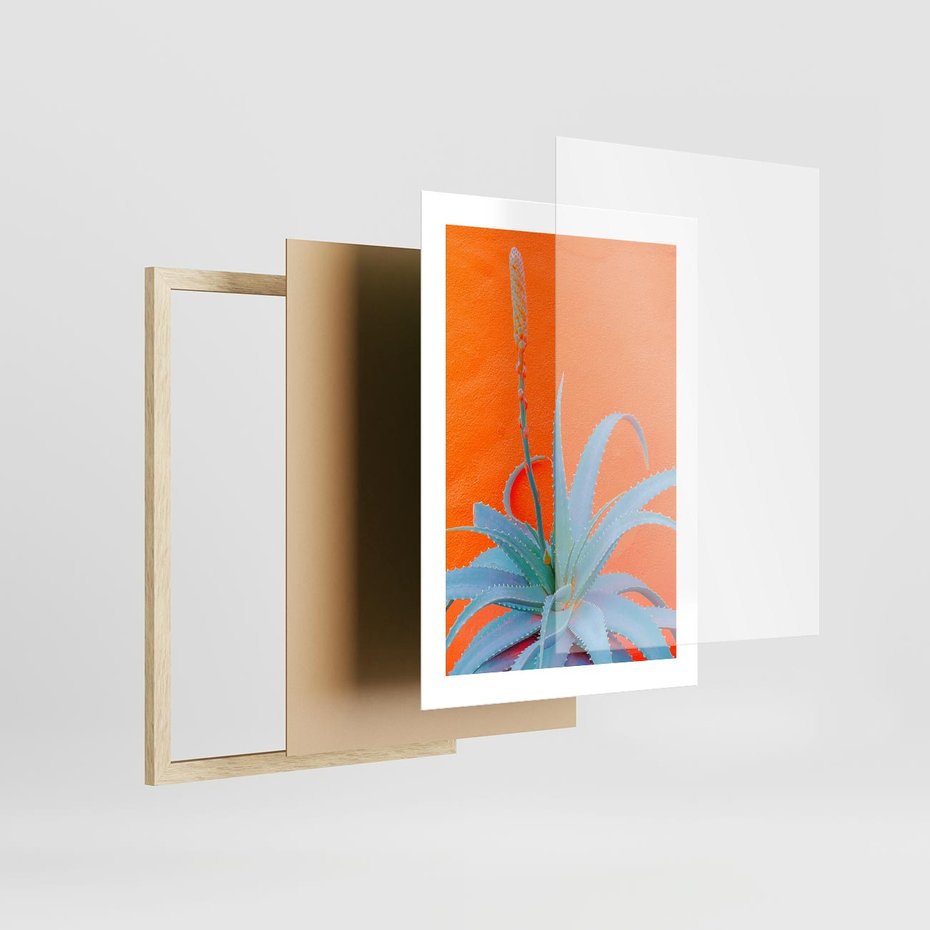 Plakat w ramie 30x40 - Naturalna Harmonia - kaktusy, liście - rama drewno