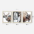 Zestaw obrazy w ramie 40x50 galeria - Jeleń, bizon, zima, retro - rama drewno