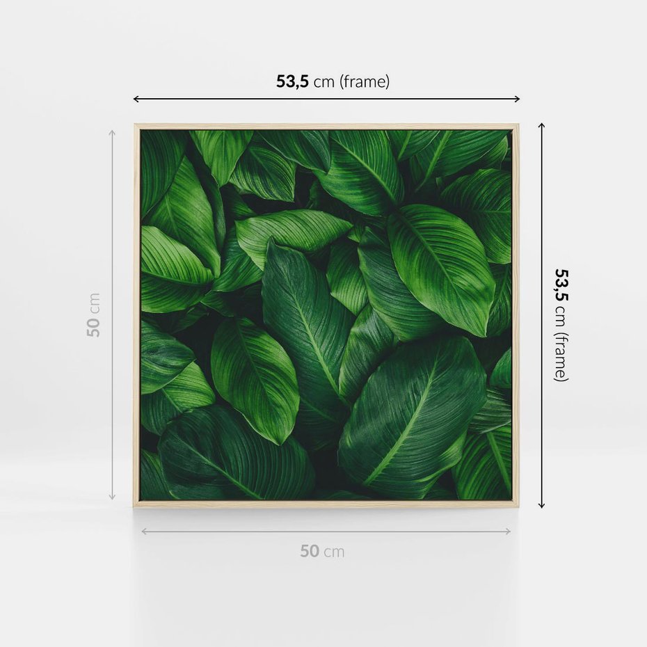 Obraz w ramie 50x50 - Palma Liście Kwiat - palma, liście - rama drewno