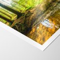 Plakat bez ramy 30x40 - Las nad Wodą - las, woda