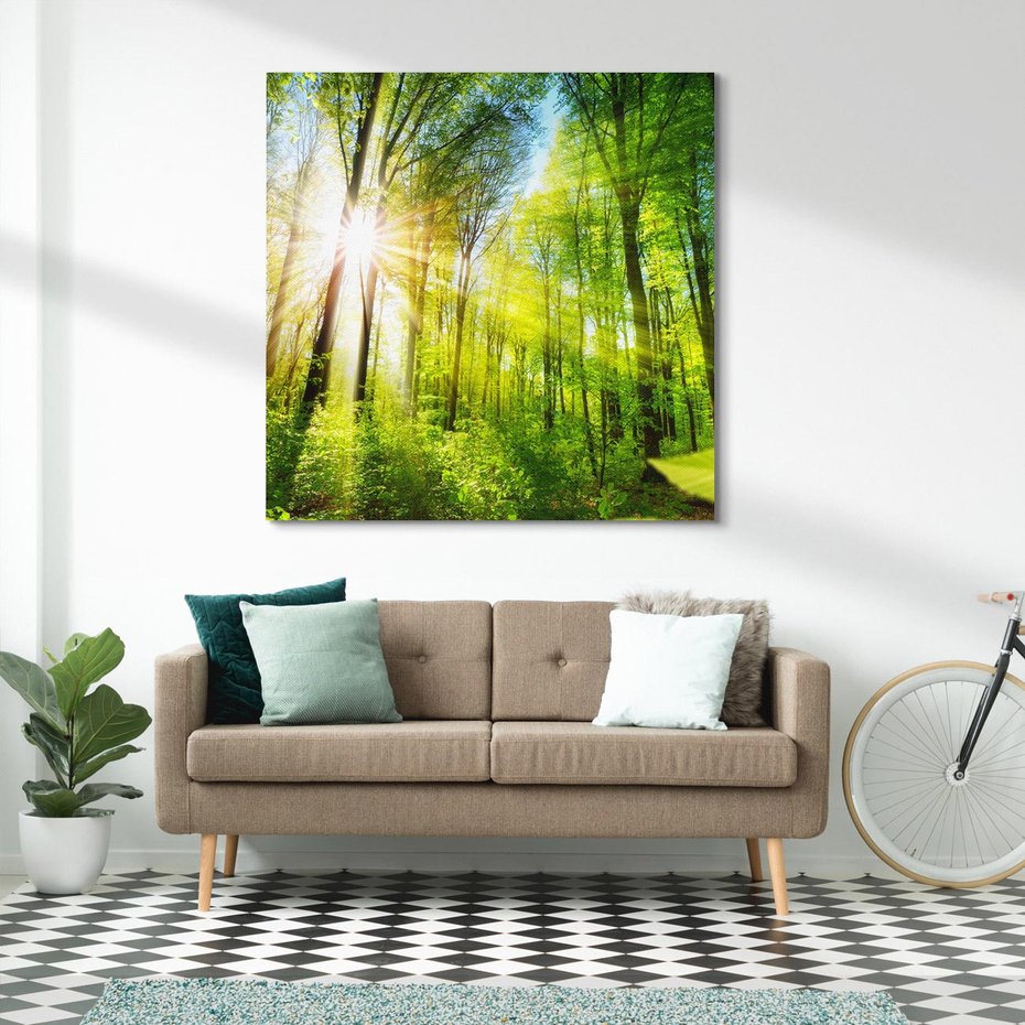 Obraz na płótnie 60x60 - Magia Leśnej Przyrody - las, drzewa