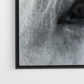 Obraz w ramie 70x50 - Oko Mocy - czarno białe zdjęcie, zbliżenie makro na oko konia - rama czarna
