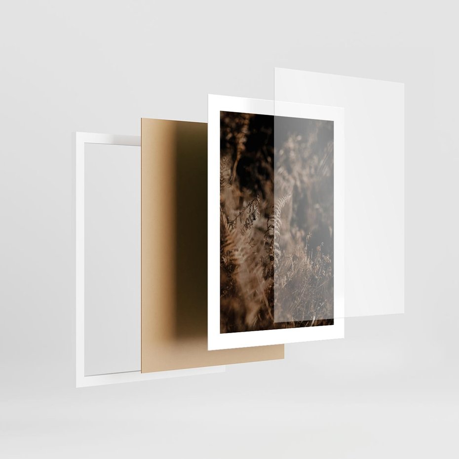 Plakat w ramie 30x40 - Delikatne Detale - paprocie, brąz - rama biała