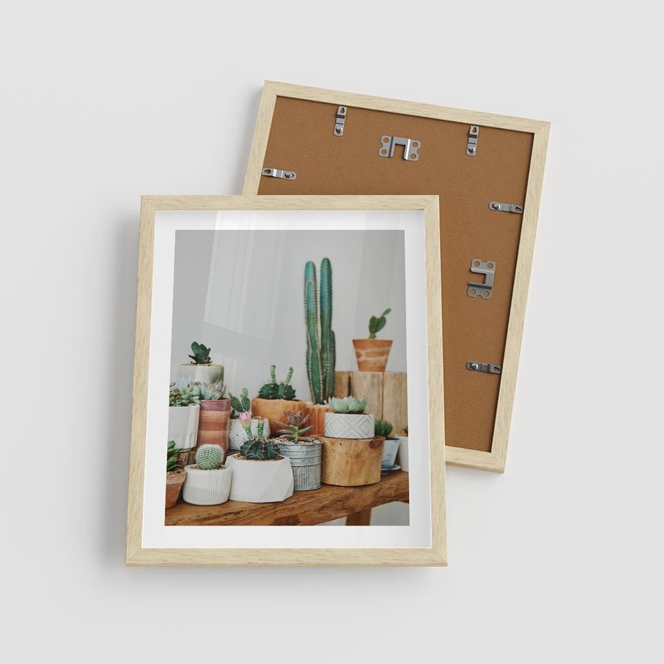Plakat w ramie 40x50 - Kaktusowa Galeria w Doniczkach - kaktusy w doniczkach, fotografia - rama drewno