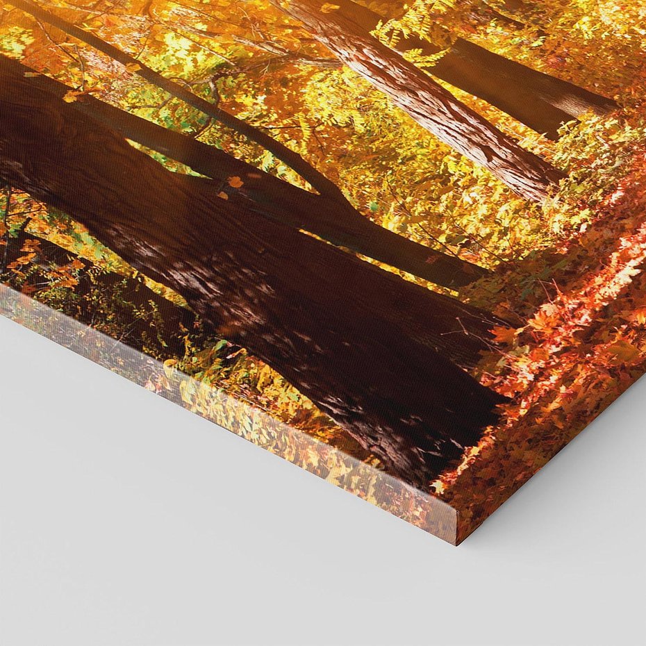 Obraz na płótnie 120x60 - Jesienna Droga: Przechadzka wśród Drzew - jesień, droga