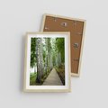 Plakat w ramie 30x40 - Spacer ścieżką przez brzozowy las - las, ścieżka - rama drewno