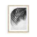 Plakat w ramie 30x40 - Czarno-Biały Kontrast - czarno białe zdjecie, palma - rama drewno
