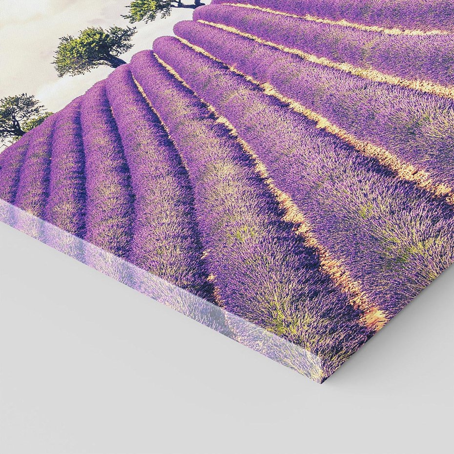 Obraz na płótnie 40x40 - Uroda Lawendy: Kwiatowy Cud Natury - lawenda, kwiaty