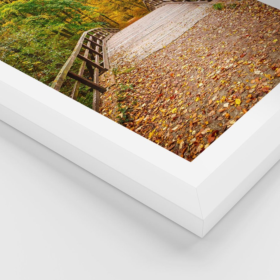 Plakat w ramie 40x50 - Spacer Ścieżką w Las - ścieżka, spacer - rama biała