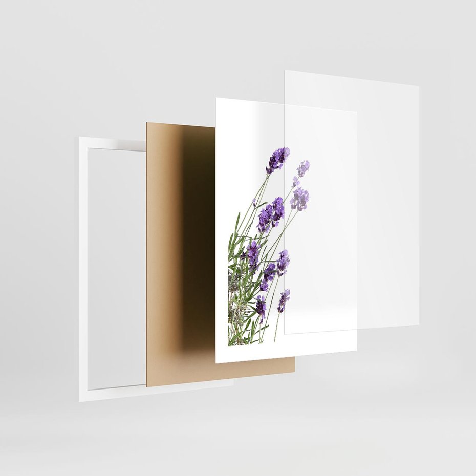 Plakat w ramie 30x40 - Delikatny Urok - lawenda, kwiaty - rama biała