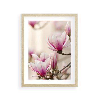 Plakat w ramie 40x50 - Urok Magnolii - magnolie, kwiaty - rama drewno