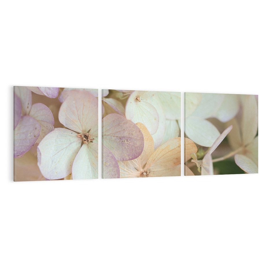 Obraz na płótnie 120x40 - Kwiatowy taniec - kwiaty, hortensje