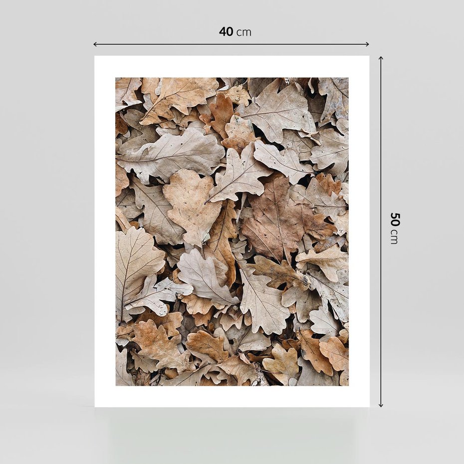 Plakat bez ramy 40x50 - Nostalgiczny Pejzaż - suche liście, jesień