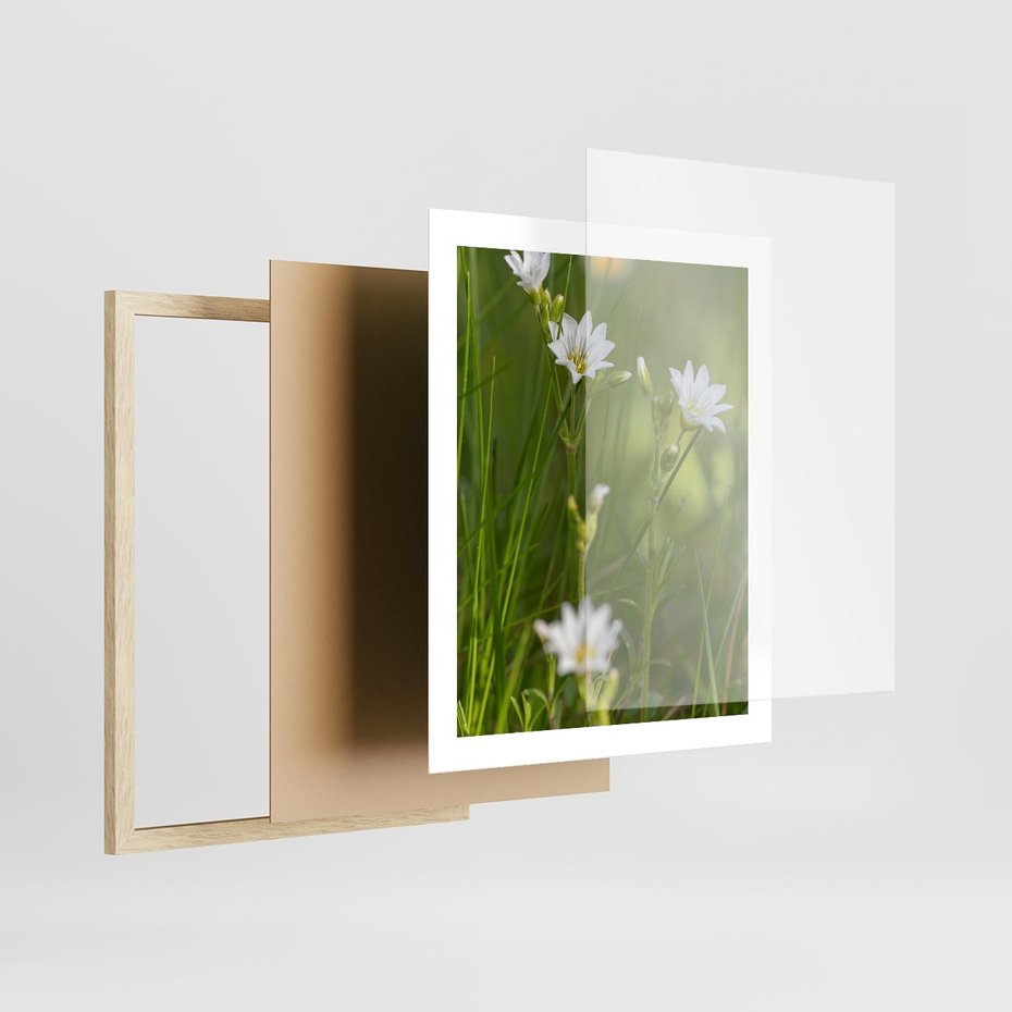 Plakat w ramie 40x50 - Kolorowa łąka - stokrotki, łąka - rama drewno
