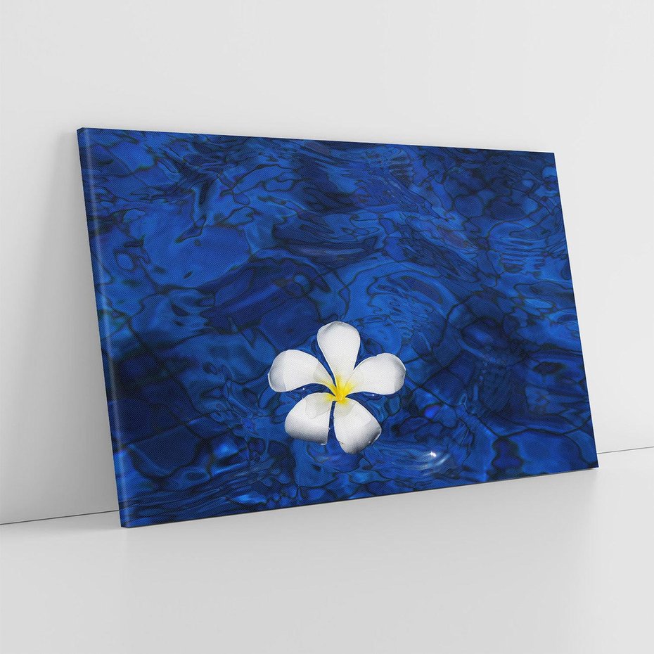 Obraz na płótnie 100x70 - Kwiaty wodne delikatność natury - kwiat, woda