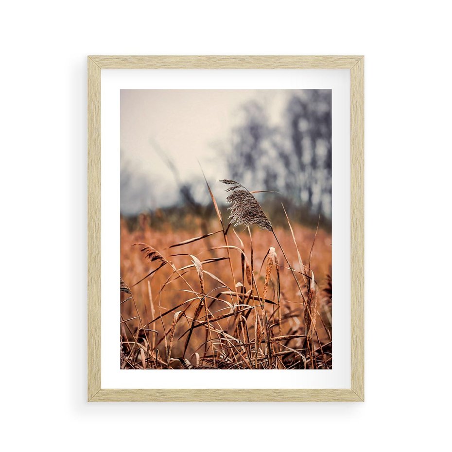 Plakat w ramie 40x50 - Jesienna Melancholia - suche trawy, jesień - rama drewno
