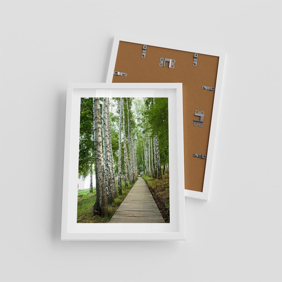Plakat w ramie 30x40 - Spacer ścieżką przez brzozowy las - las, ścieżka - rama biała