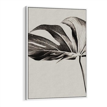 Obraz w ramie 50x70 - Szepczący Liść - szkic, czarno biały - rama biała
