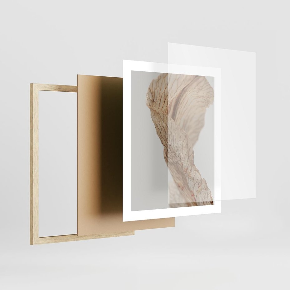 Plakat w ramie 40x50 - Suszone piękno - susz, suche - rama drewno