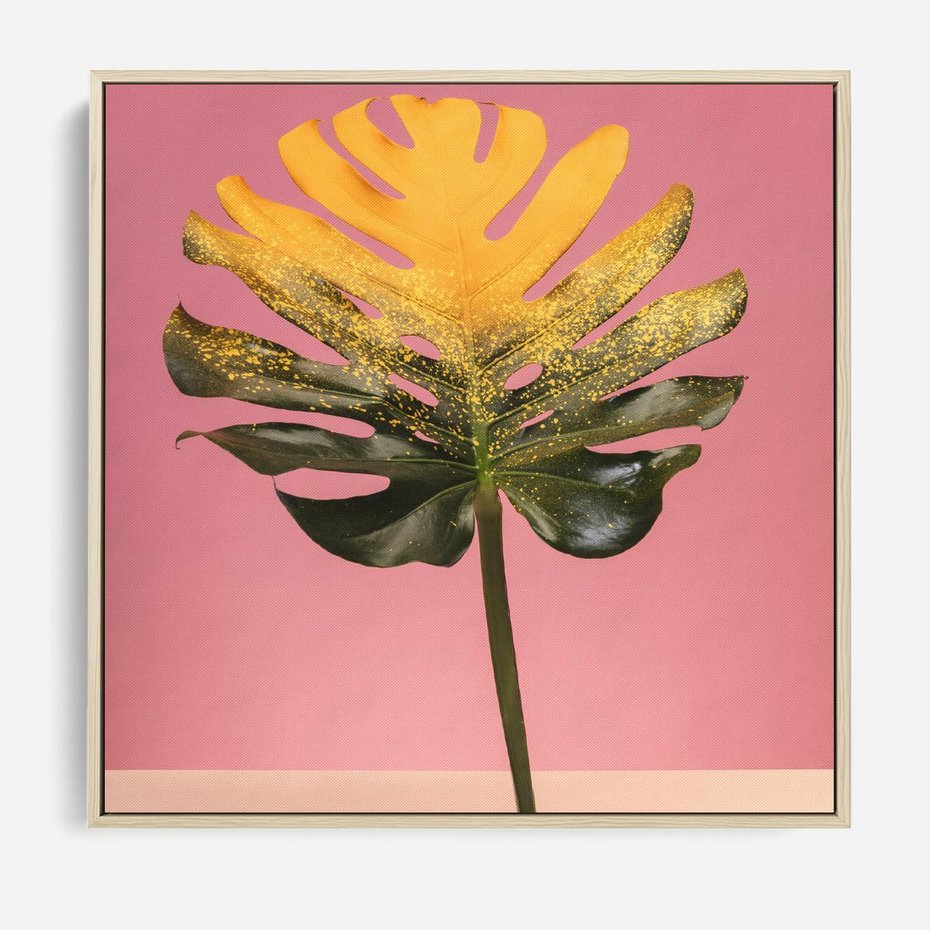 Obraz w ramie 80x80 - Majestatyczna monstera - monstera, liść - rama drewno