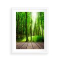 Plakat w ramie 40x50 - Spacer po urokliwej dróżce w lesie - las, dróżka - rama biała