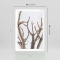 Plakat w ramie 50x70 - Pustynna Harmonia Gałęzi - pustynna roślina, suche gałęzie - rama biała