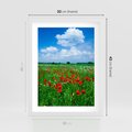 Plakat w ramie 30x40 - Kolorowa łąka pełna maku - łąka, maki - rama biała