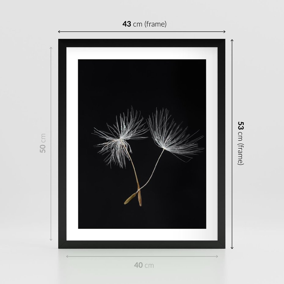 Plakat w ramie 40x50 - Delikatność Wiatru - dmuchawce, makro - rama czarna