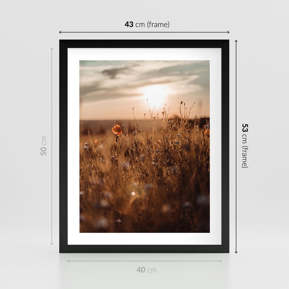 Plakat w ramie 40x50 - Zachwyt zachodem słońca na łące - zachód, słońca - rama czarna
