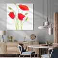 Obraz na płótnie 40x40 - Pola maków w pełnym kolorze - maki, kwiaty
