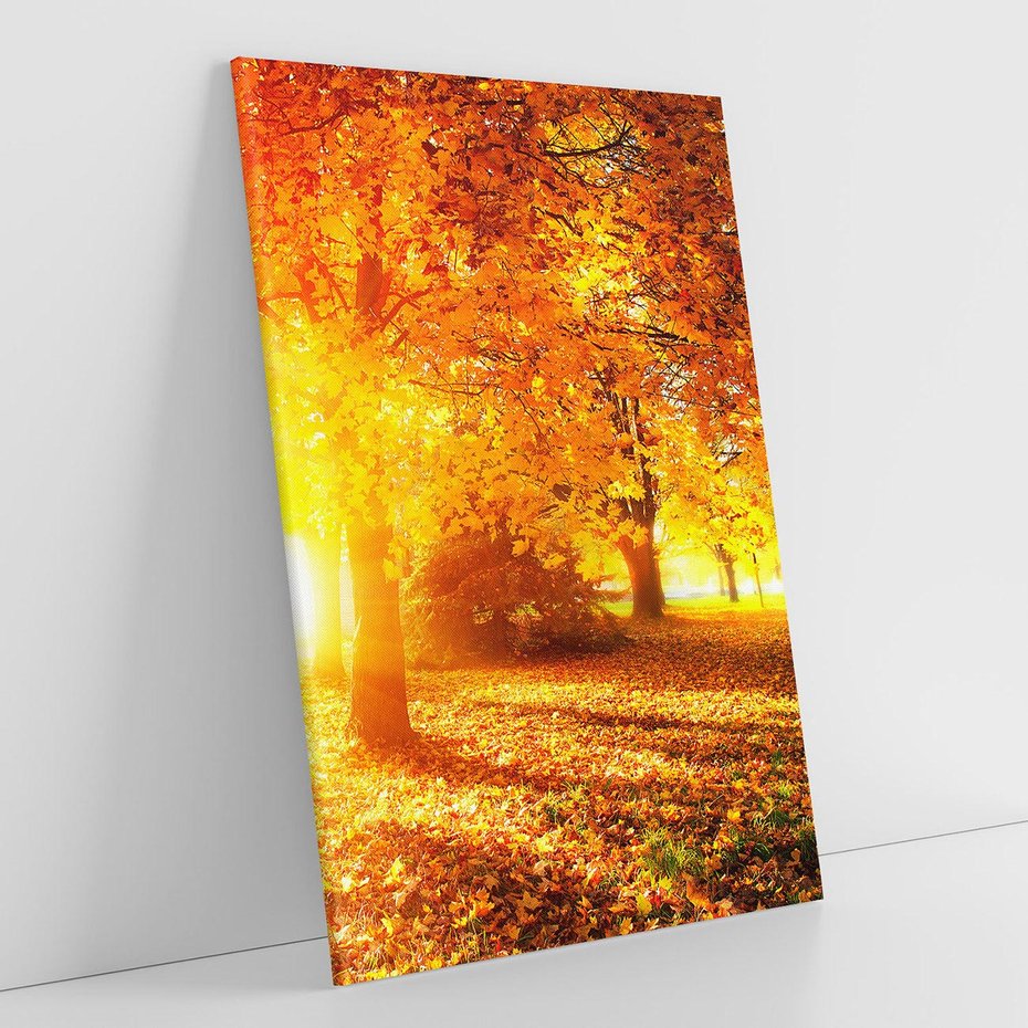 Obraz na płótnie 50x70 - Magia jesiennego lasu - las, drzewa