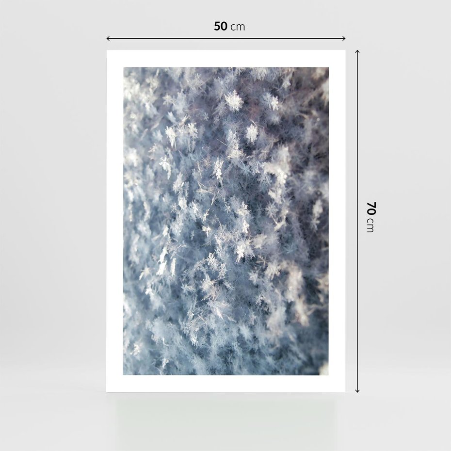 Plakat bez ramy 50x70 - Magia Śnieżnych Kryształków - śnieg, szron