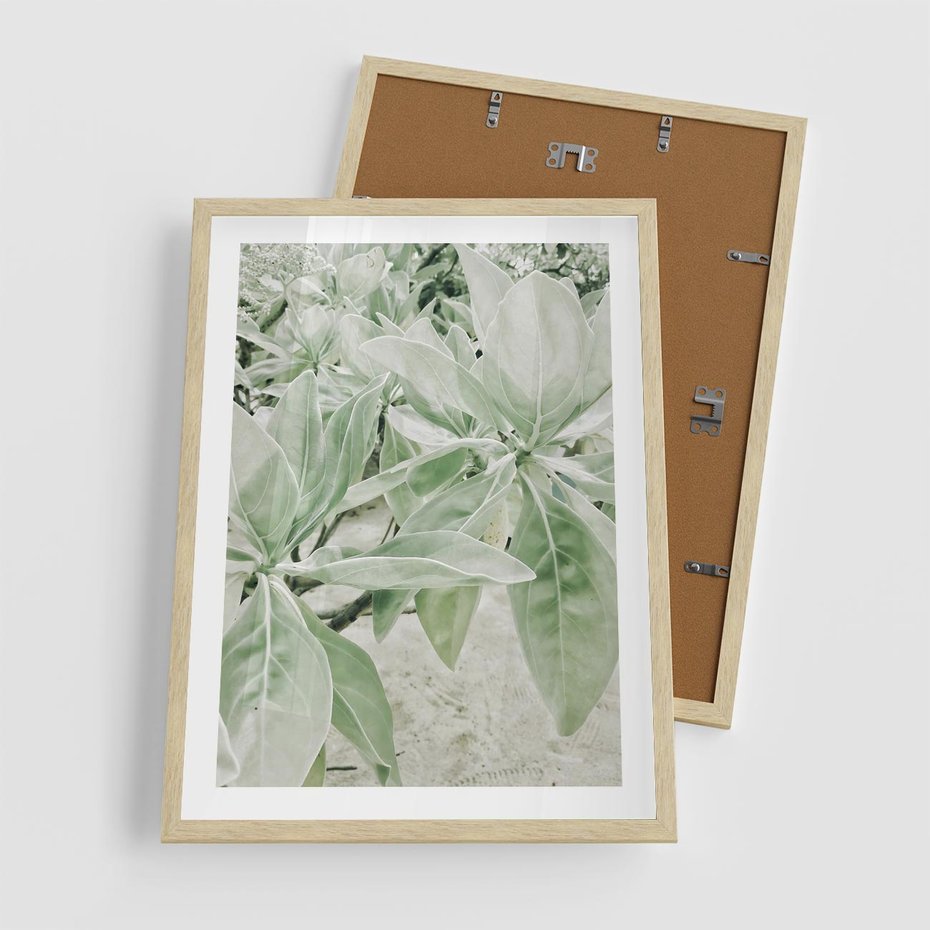 Plakat w ramie 50x70 - Jasnozielone Liście w Kompozycji - liście, jasna zieleń - rama drewno