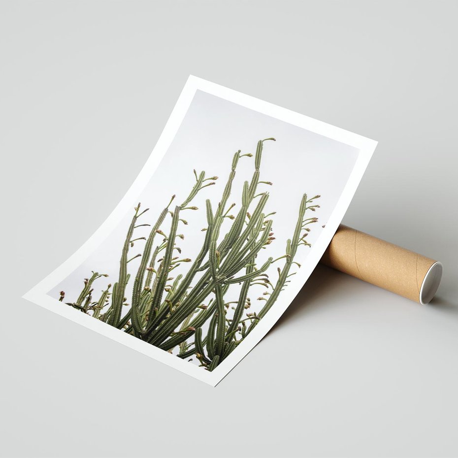Plakat bez ramy 21x30 - Ekskluzywna Roślinność - kaktusy, liście