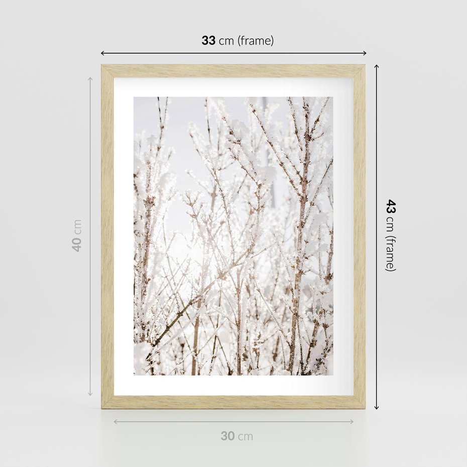 Plakat w ramie 30x40 - Szron na Gałęziach - ośnieżone gałązki, szron na gałęziach - rama drewno
