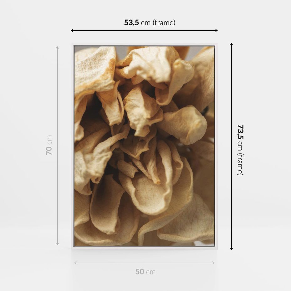 Obraz w ramie 50x70 - Zjawiskowe zasuszone kwiaty - zasuszone, kwiaty - rama biała