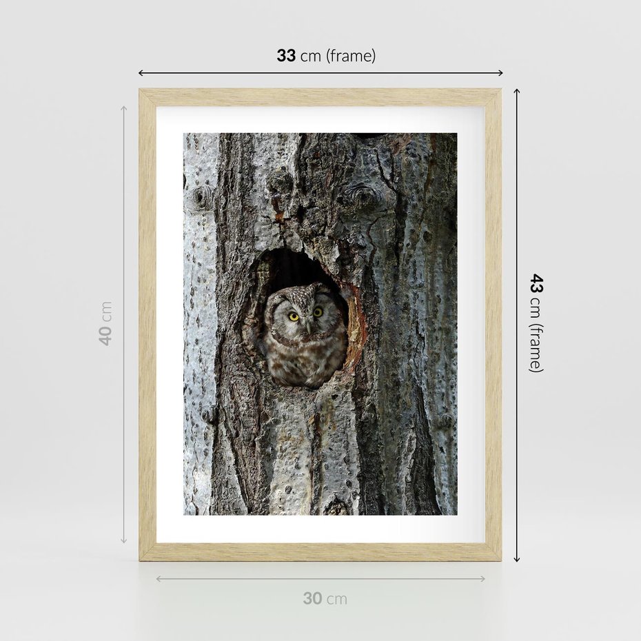 Plakat w ramie 30x40 - Tajemniczy W świecie Nocy - sowa, dziupla - rama drewno