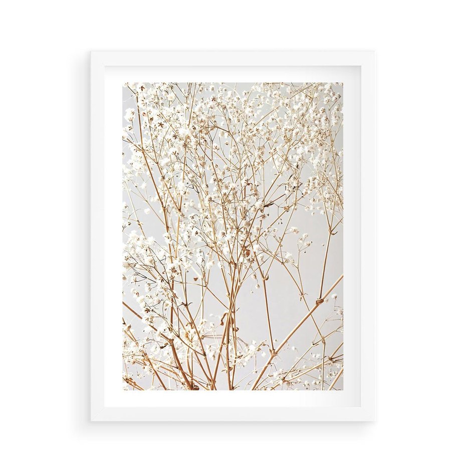 Plakat w ramie 50x70 - Minimalistyczna Delikatność - białe kwiaty, gipsówka - rama biała