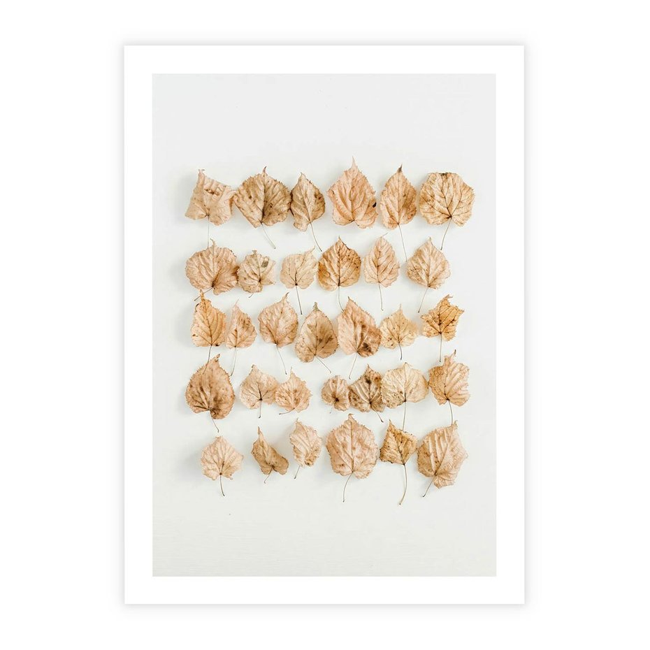 Plakat bez ramy 50x70 - Liście Złotego Sezonu - kompozycja z suchych żółtych liści