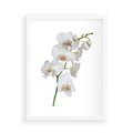 Plakat w ramie 50x70 - Ekskluzywny Relaks - storczyk, spa - rama biała