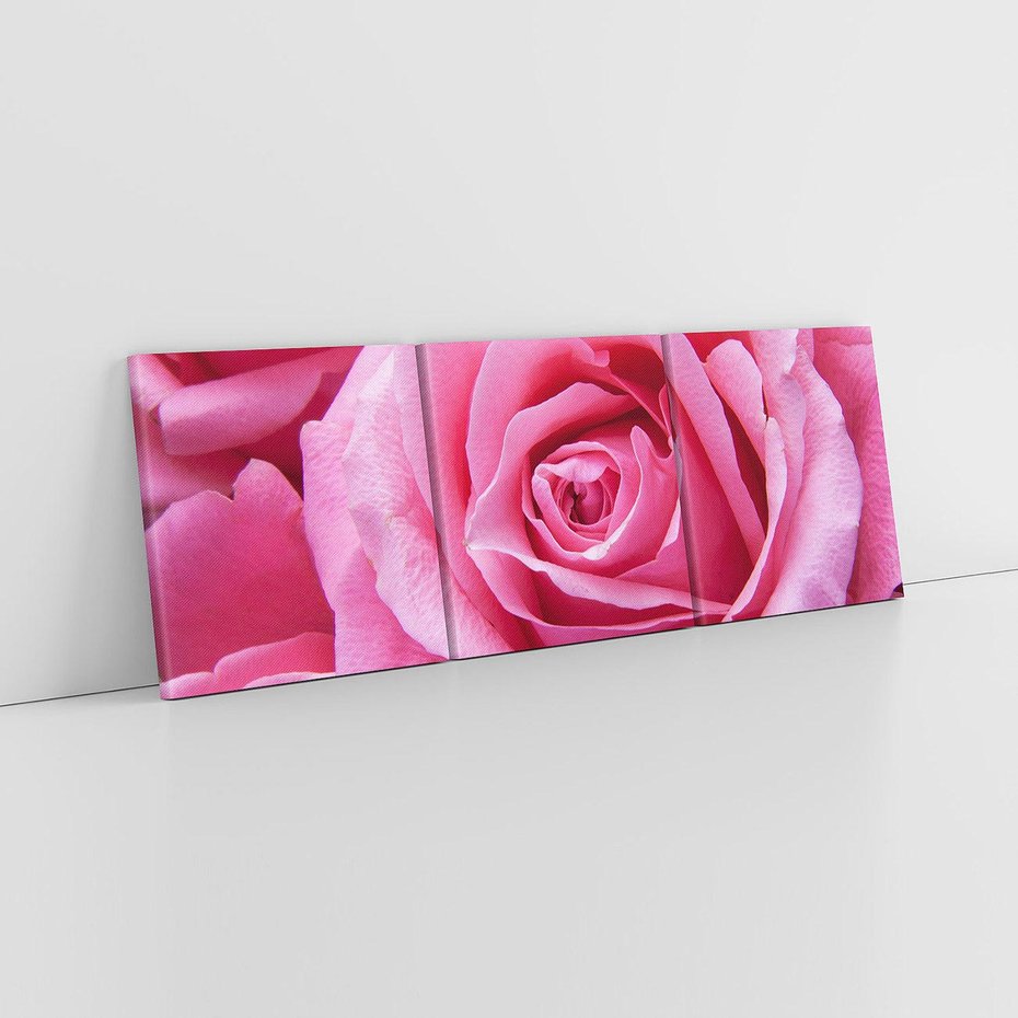 Obraz na płótnie 120x40 - Róża Wspaniałości - róża, kwiat